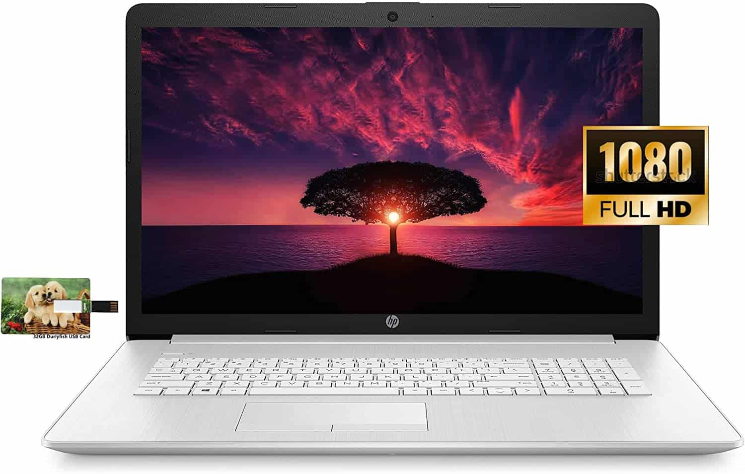 HP 17 Business Laptop Computer, 11th Gen Intel Core i3-1115G4, 17.3" FHD Display, Windows 10 Pro, 12GB RAM, 256GB SSD, WiFi, Bluetooth, Webcam, HDMI, 32GB Durlyfish USB Card