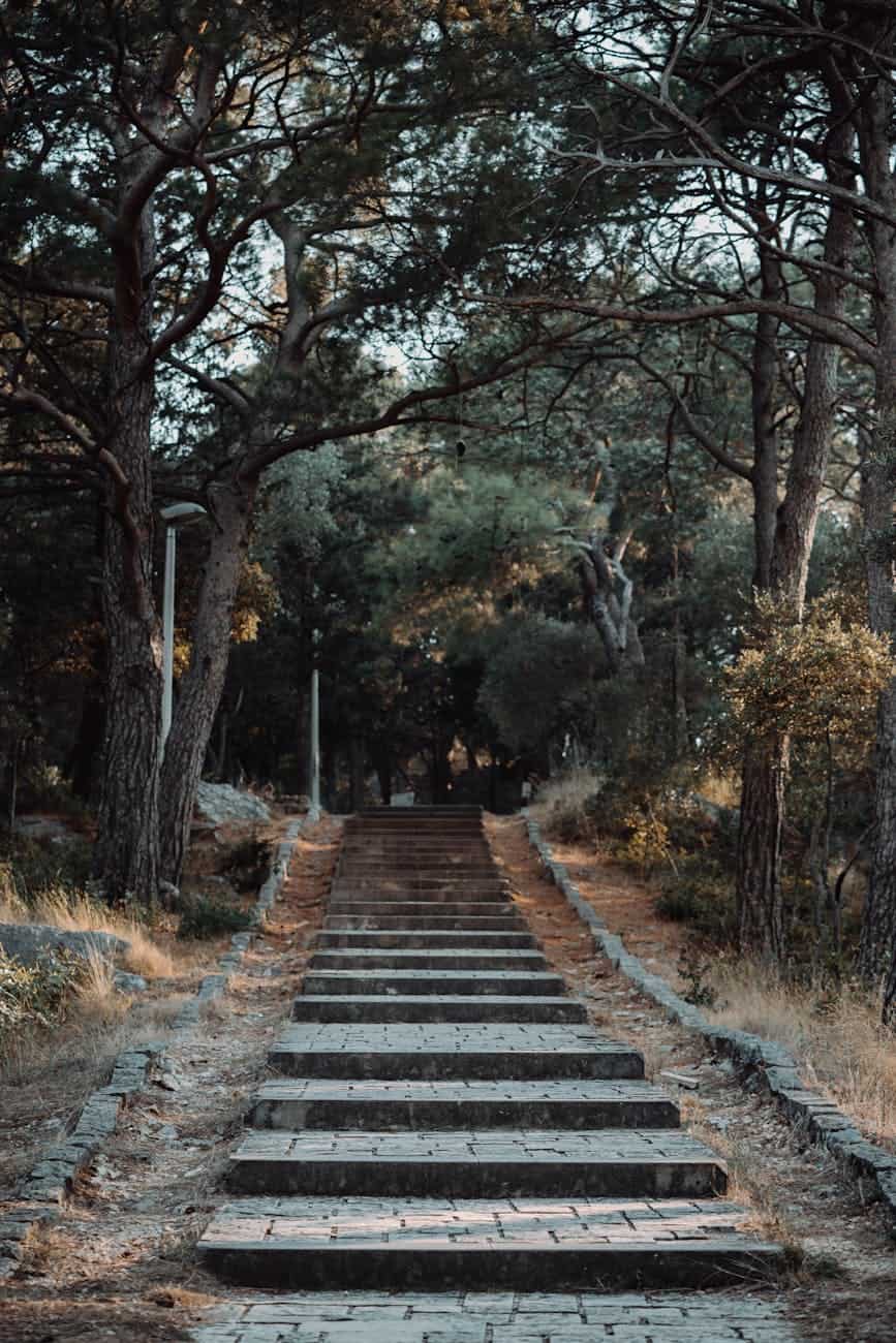 A serene pathway lined with trees, featuring stone steps leading upward, surrounded by greenery, evoking a sense of journey and transition.